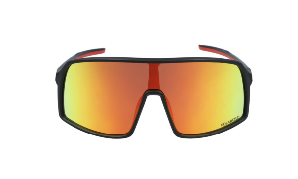 PolarZONE 462-8