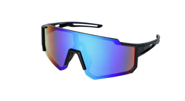 PolarZONE 458-11 - obrazek 2