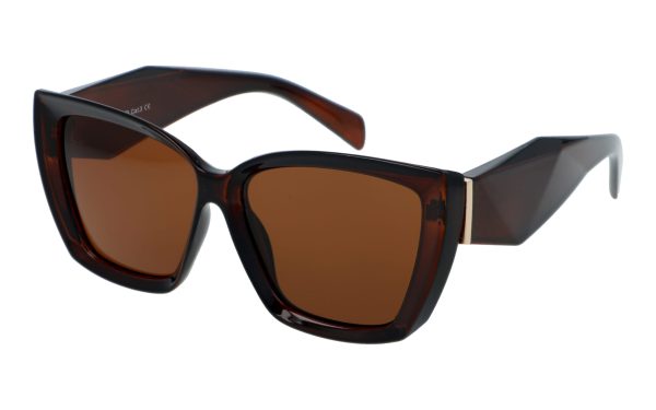 PolarZone 1000-2