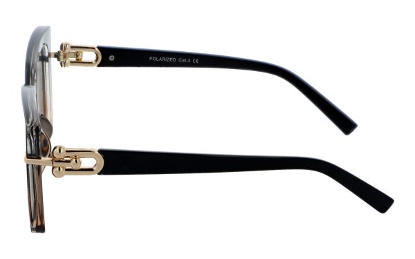 PolarZone 1060-13 - obrazek 2