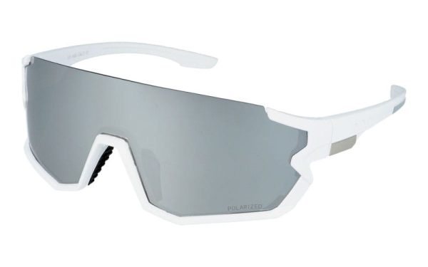 PolarZone 453a-4