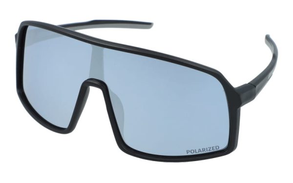 PolarZone 463-4