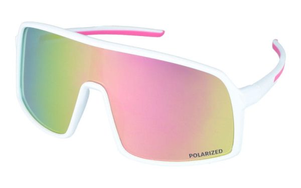 PolarZone 463-6