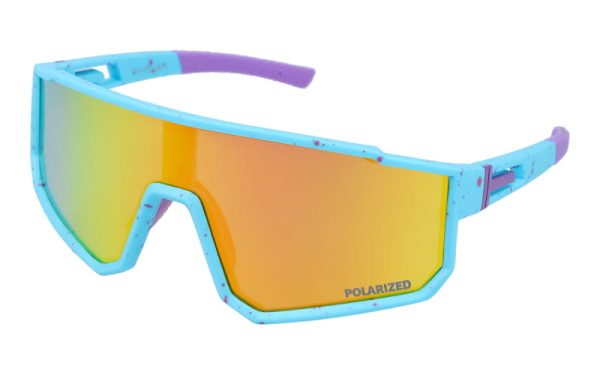 PolarZone 466-6