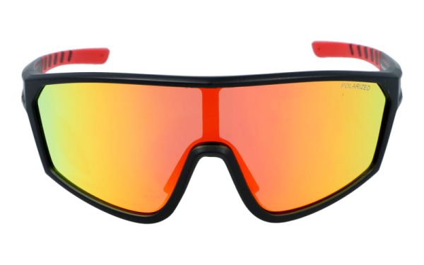 PolarZone 476-8 - obrazek 3