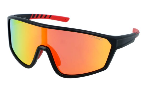 PolarZone 476-8