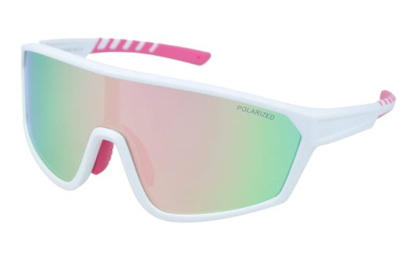 PolarZone 477-6