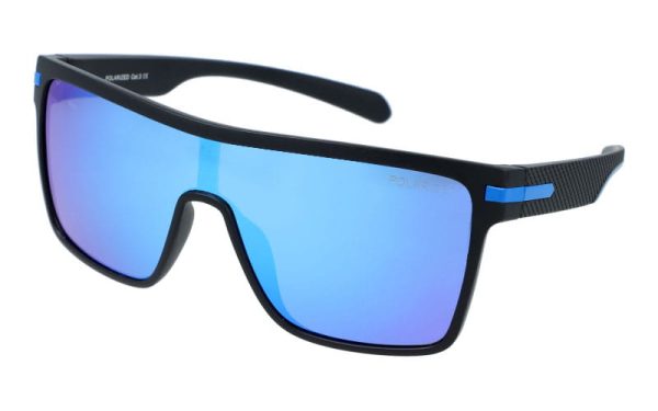 PolarZone 479-10