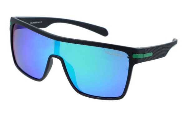 PolarZone 479-11