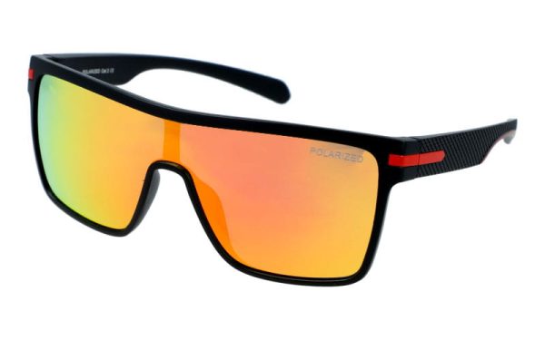 PolarZone 479-8