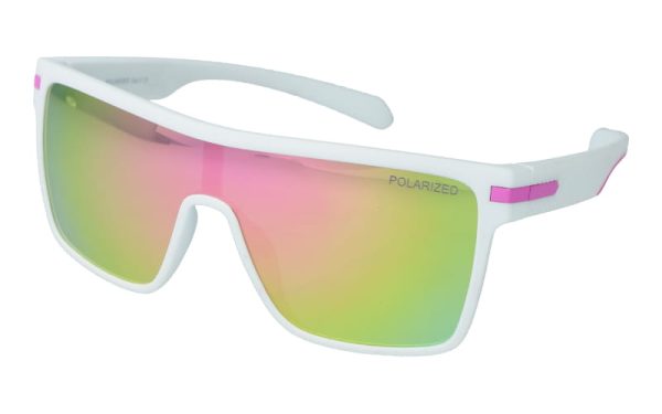 PolarZone 480-6