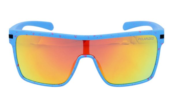 PolarZone 480-8 - obrazek 3