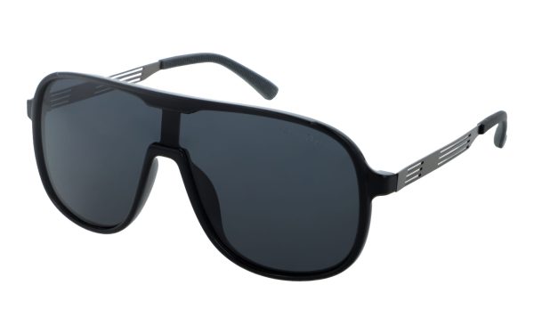 PolarZone 484-1