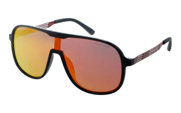 PolarZone 485-8