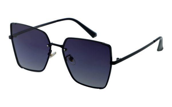PolarZone 895-1