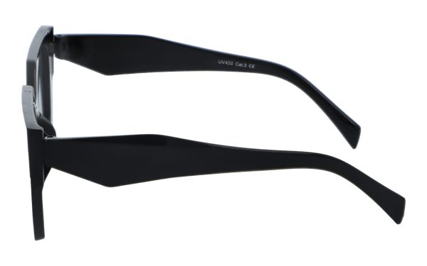 Revers Polarized 229-1 - obrazek 2